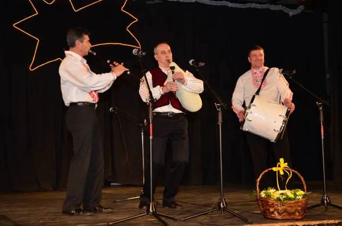 musikanti553160_431012096999487_864331335_n